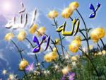 soubhanallah99.vip-blog.com 